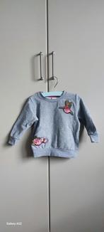 trui - name it -maat 80, Ophalen, Gebruikt, Name it, Truitje of Vestje