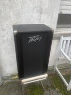 Peavey 210 column 80’s usa, Ophalen, Gebruikt, Gitaar, 50 tot 100 watt
