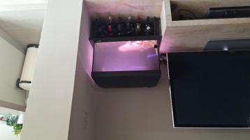 Garnalen aquarium beschikbaar voor biedingen