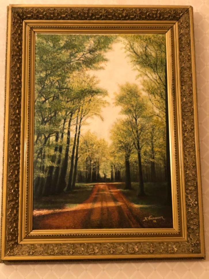 Tableau huie sur toile foret de Soignes, Antiquités & Art, Art | Peinture | Classique, Enlèvement ou Envoi