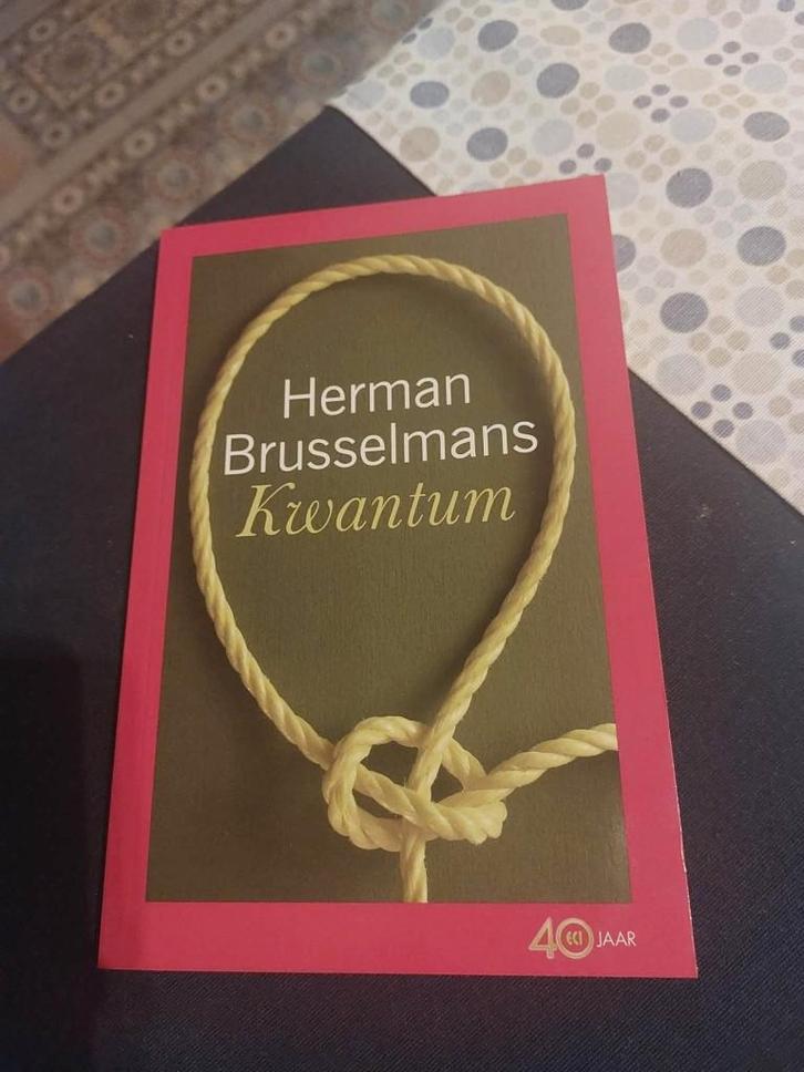 Kwantum / Herman Brusselmans, Boeken, Literatuur, Zo goed als nieuw, België, Ophalen of Verzenden