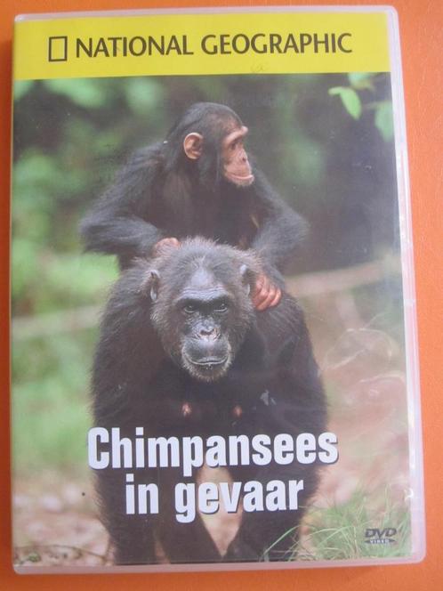 Chimpansees in gevaar, Cd's en Dvd's, Dvd's | Documentaire en Educatief, Zo goed als nieuw, Natuur, Alle leeftijden, Ophalen of Verzenden