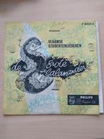 Vlaamse studentenliederen - De Grote Salamander (NM of VG+), CD & DVD, Vinyles | Musique du monde, Comme neuf, Enlèvement ou Envoi