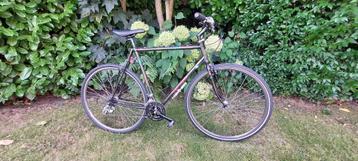 koga miyata terraliner carbolite carbon vintage beschikbaar voor biedingen