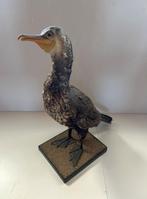 Opgezette watervogel - taxidermie, Ophalen of Verzenden, Gebruikt, Vogel, Opgezet dier