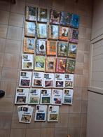 Tijdschriften Aviornis 1984-2015, Dieren en Toebehoren