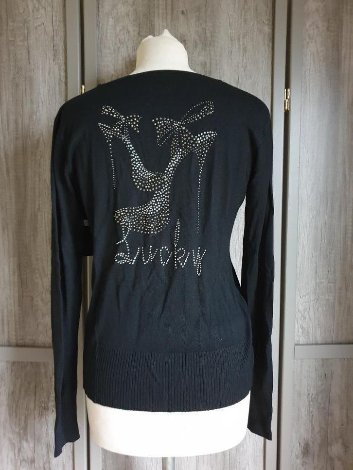 gilet v-hals zwart rug hoge hakken Lucky in strass ONE SIZE, Kleding | Dames, Truien en Vesten, Nieuw, Zwart, Ophalen of Verzenden