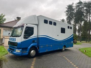 Daf paardenvrachtwagen, gekeurd 