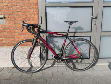 Specialized Allez Race 2014 beschikbaar voor biedingen