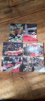 6 cartes vues en couleurs floralies gantoises/ dos.original, Photo, Enlèvement ou Envoi, Neuf