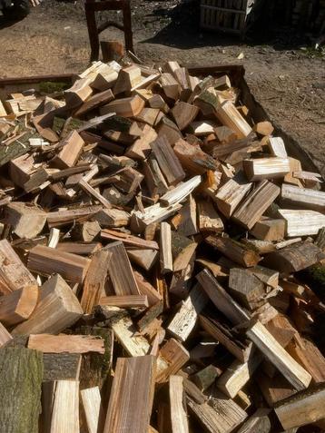 Hoogwaardig Droog en Halfdroog Brandhout! beschikbaar voor biedingen