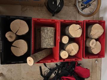 50kg droog brandhout beschikbaar voor biedingen