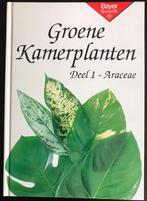 GROENE KAMERPLANTEN, Ophalen of Verzenden, Overige soorten