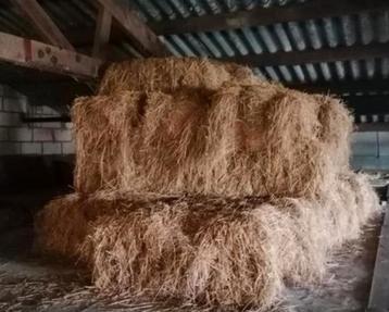 Hooi beschikbaar voor biedingen