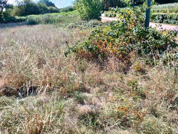 U zoekt iemand om uw grond of bouwgrond te maaien beschikbaar voor biedingen