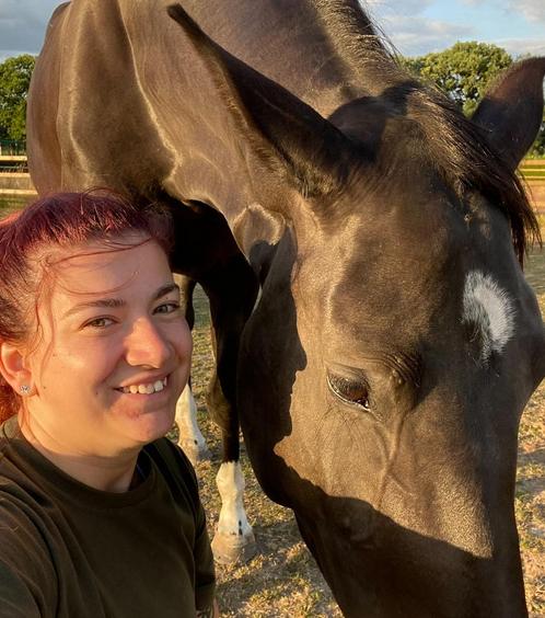 Paarden Oppas aan huis, Diversen, Overige Diversen, Ophalen of Verzenden