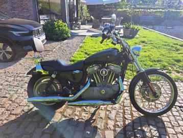 Harley Davidson XLSportsterC 883, Plus de 35 kW, Chopper, 2 cylindres, Particulier