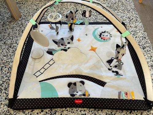 Tapis de jeu Tiny Love, Enfants & Bébés, Jouets | Vêtements de jeu, Comme neuf, Enlèvement