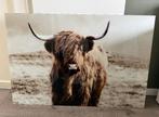Wanddecoratie - Glasschilderij Schotse Hooglander, Enlèvement, Comme neuf