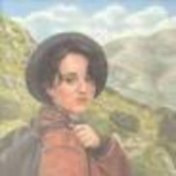 Dava  R.H. Schoemans, Boeken, Kinderboeken | Jeugd | 13 jaar en ouder, Zo goed als nieuw, Ophalen of Verzenden