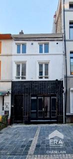 Opbrengsteigendom à vendre à Ixelles, Immo, 156 m², 324 kWh/m²/an, Maison individuelle