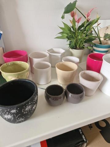 Lot de Cache pot  beschikbaar voor biedingen