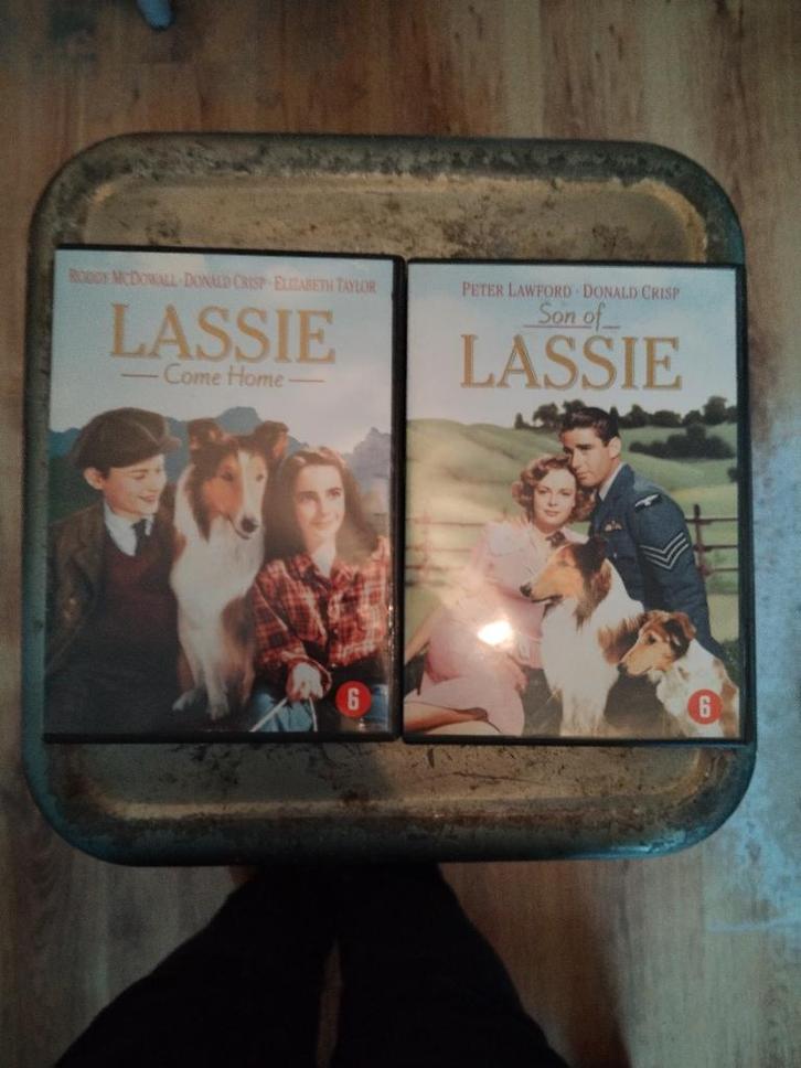 Lassie pakket, CD & DVD, DVD | Enfants & Jeunesse, Comme neuf, Film, À partir de 6 ans, Envoi