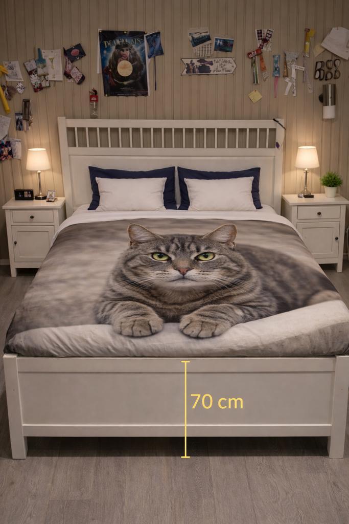 Hemnes 2p bed 160x200 + 2x nachtkast verstelbare lattenbodem, Huis en Inrichting, Slaapkamer | Complete slaapkamers, Zo goed als nieuw