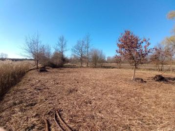 bosgrond om te onderhouden beschikbaar voor biedingen