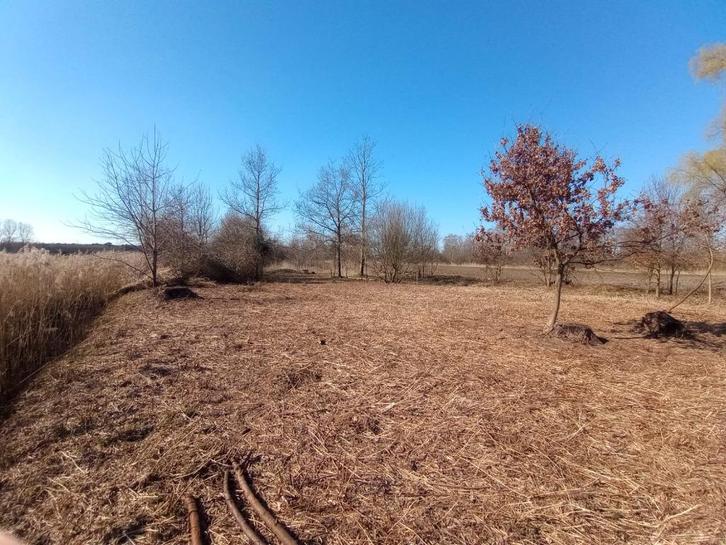 bosgrond om te onderhouden, Immo, Gronden en Bouwgronden, 1500 m² of meer, Verkoop zonder makelaar