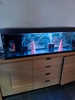 Aquarium a vendre, Dieren en Toebehoren, Ophalen