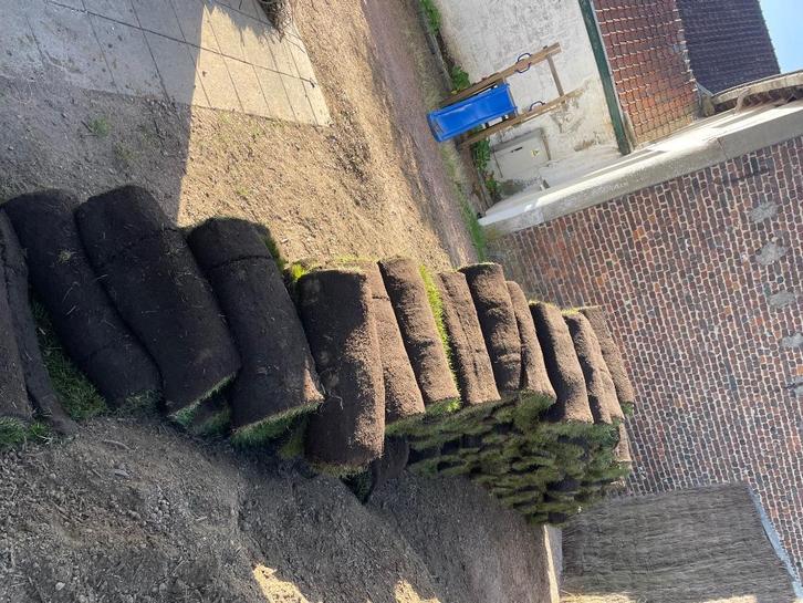 Aménagement et Entretien de Parcs et Jardins, Tuin en Terras, Gras en Kunstgras, Ophalen of Verzenden