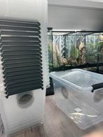 Kweekbakken gekko’s / pissebedden, Dieren en Toebehoren