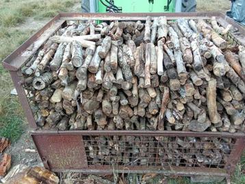 brandhout knotwilg en berk beschikbaar voor biedingen