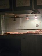 2 landschildpadden, Dieren en Toebehoren, Reptielen en Amfibieën, Schildpad, Met terrarium, 3 tot 6 jaar