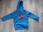 Warme trui - maat 104, Kinderen en Baby's, Kinderkleding | Maat 104, Ophalen, Gebruikt, Jongen, Trui of Vest