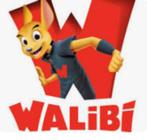 Tickets Walibi (x3) à 50€. valable jusqu'au 5/1/25, Tickets en Kaartjes, Drie personen of meer, Ticket of Toegangskaart