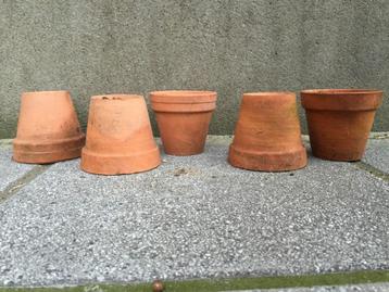 Enkele honderden terracotta bloempotjes beschikbaar voor biedingen