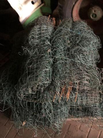 schapengaas beschikbaar voor biedingen