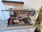 Terrarium, Dieren en Toebehoren, Ophalen, Gebruikt