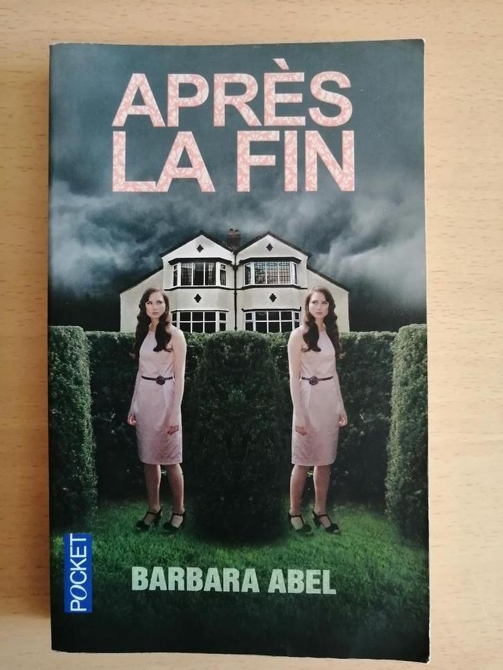 Après la fin de Barbara Abel, Livres, Thrillers, Enlèvement ou Envoi