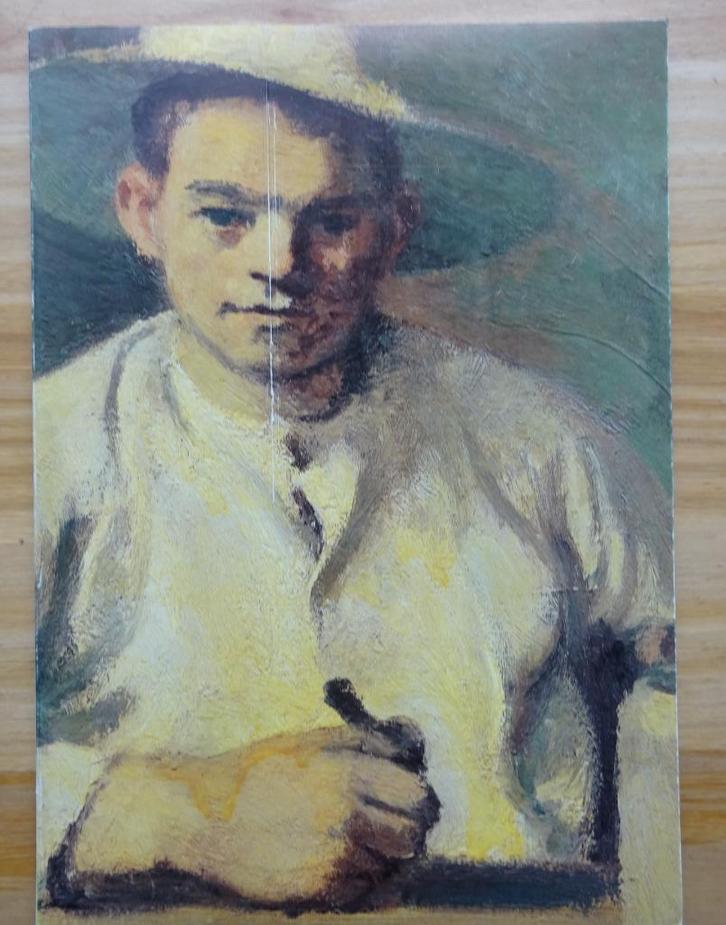 De Animisten, 1979 galerij ASLK, Boeken, Kunst en Cultuur | Beeldend, Gelezen, Schilder- en Tekenkunst, Ophalen of Verzenden