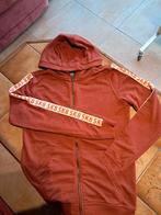 Gilet zippé orange Urban Wave 176, Enfants & Bébés, Vêtements enfant | Taille 176, Garçon, Enlèvement ou Envoi, Urban Wave, Pull ou Veste