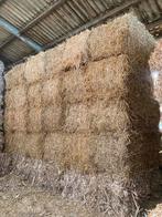 Tarwestro 2025 te koop, Zakelijke goederen, Landbouw | Veevoer, Ophalen