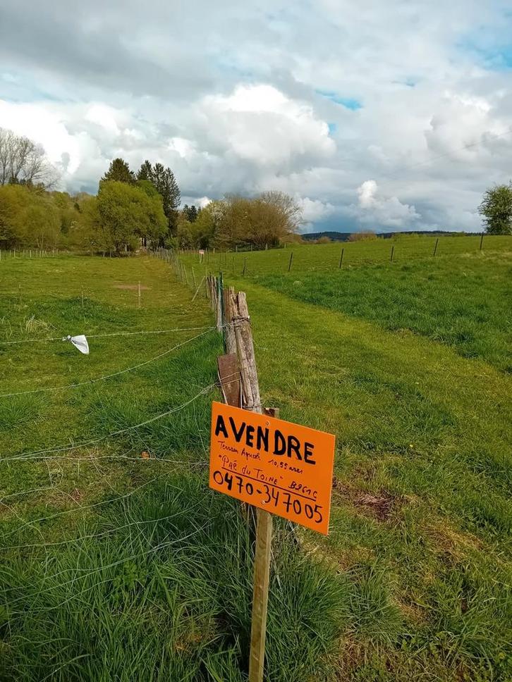 Twee landbouwpercelen te koop in 567O Viroinval, Zakelijke goederen, Landbouw | Onroerend goed, Ophalen