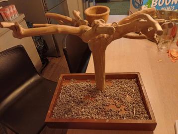 mooie Java boom (tafelmodel), ideaal als speel- en klimplek  beschikbaar voor biedingen