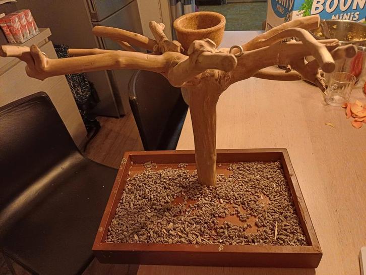 mooie Java boom (tafelmodel), ideaal als speel- en klimplek, Dieren en Toebehoren, Vogels | Toebehoren, Zo goed als nieuw, Overige typen