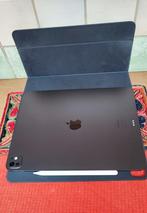 iPad Pro 13 pouces 256 GB Wi-Fi Space Black 2024 avec stylet, Computers en Software, Apple iPads, Ophalen, 13 inch of meer, Zwart