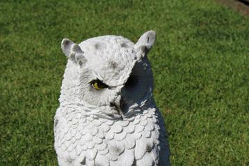 witte uil op een tak, perfecte imitatie! beschikbaar voor biedingen