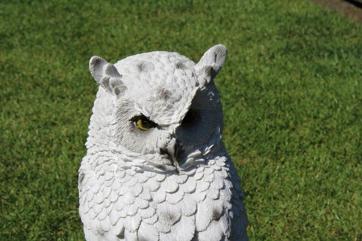 witte uil op een tak, perfecte imitatie!, Tuin en Terras, Tuinbeelden, Nieuw, Dierenbeeld, Kunststof, Ophalen